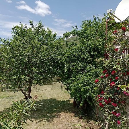 Apartment Natali Kaštel Stari エクステリア 写真
